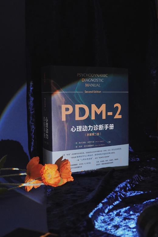 万千心理·心理动力诊断手册（原著第二版）首刷赠送【诊断分类索引桌垫】 商品图10