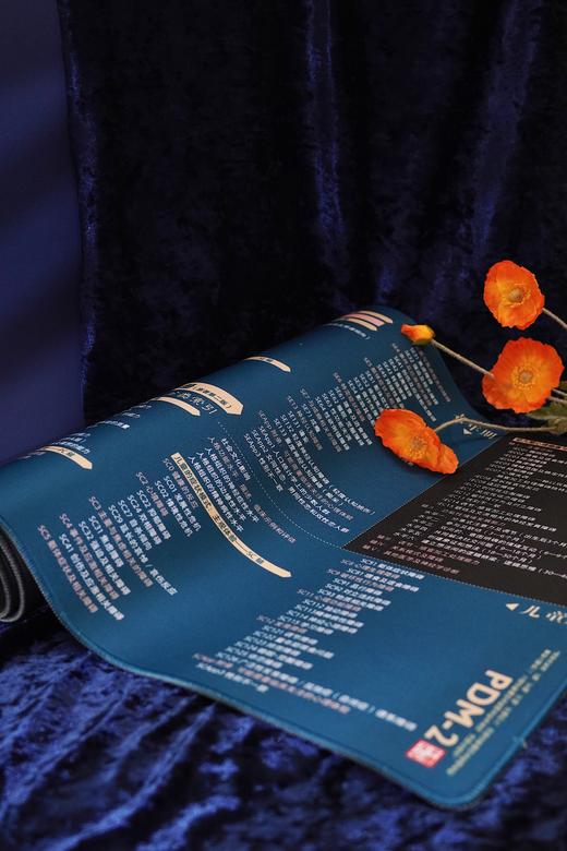 万千心理·心理动力诊断手册（原著第二版）首刷赠送【诊断分类索引桌垫】 商品图7