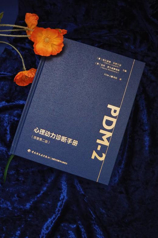 万千心理·心理动力诊断手册（原著第二版）首刷赠送【诊断分类索引桌垫】 商品图6