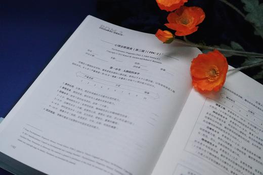 万千心理·心理动力诊断手册（原著第二版）首刷赠送【诊断分类索引桌垫】 商品图9