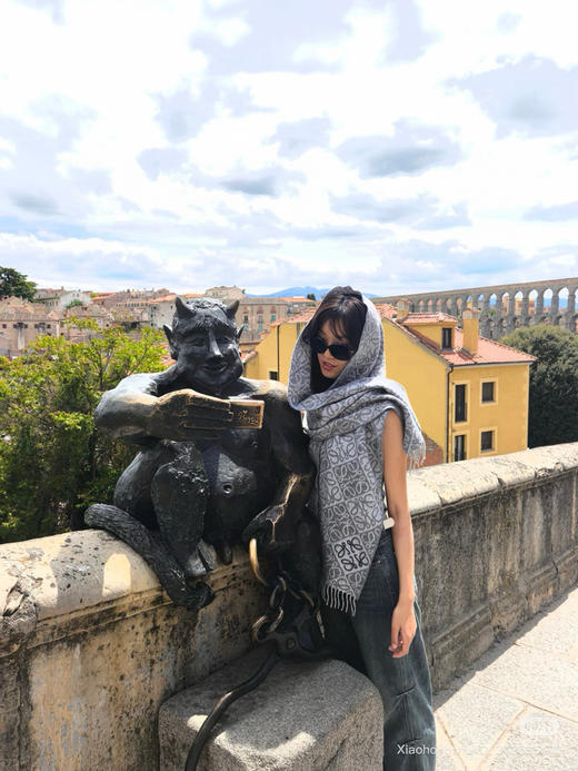 1010-1 渠道货 lew 新款 牙刷绣 徽标字母 羊毛羊绒 对比棋盘格 流苏长款围巾 商品图5