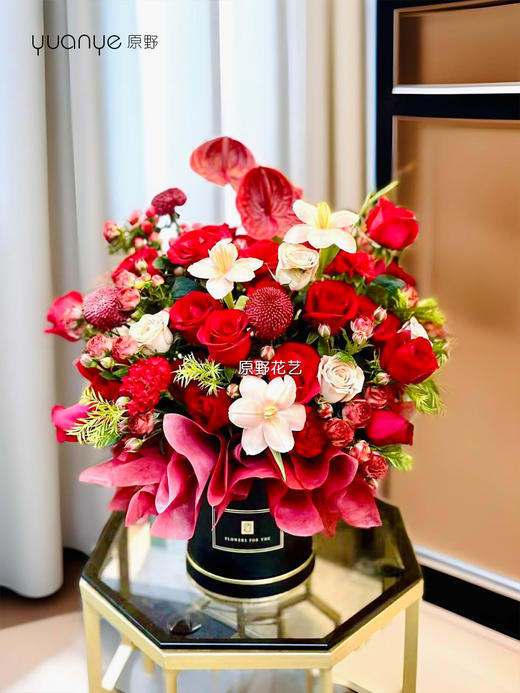 【福满新居】玫瑰红掌混搭抱抱桶 商品图0