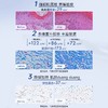 绽媄娅焕能修护精华面霜50g/瓶（钝感力面霜） 商品缩略图3