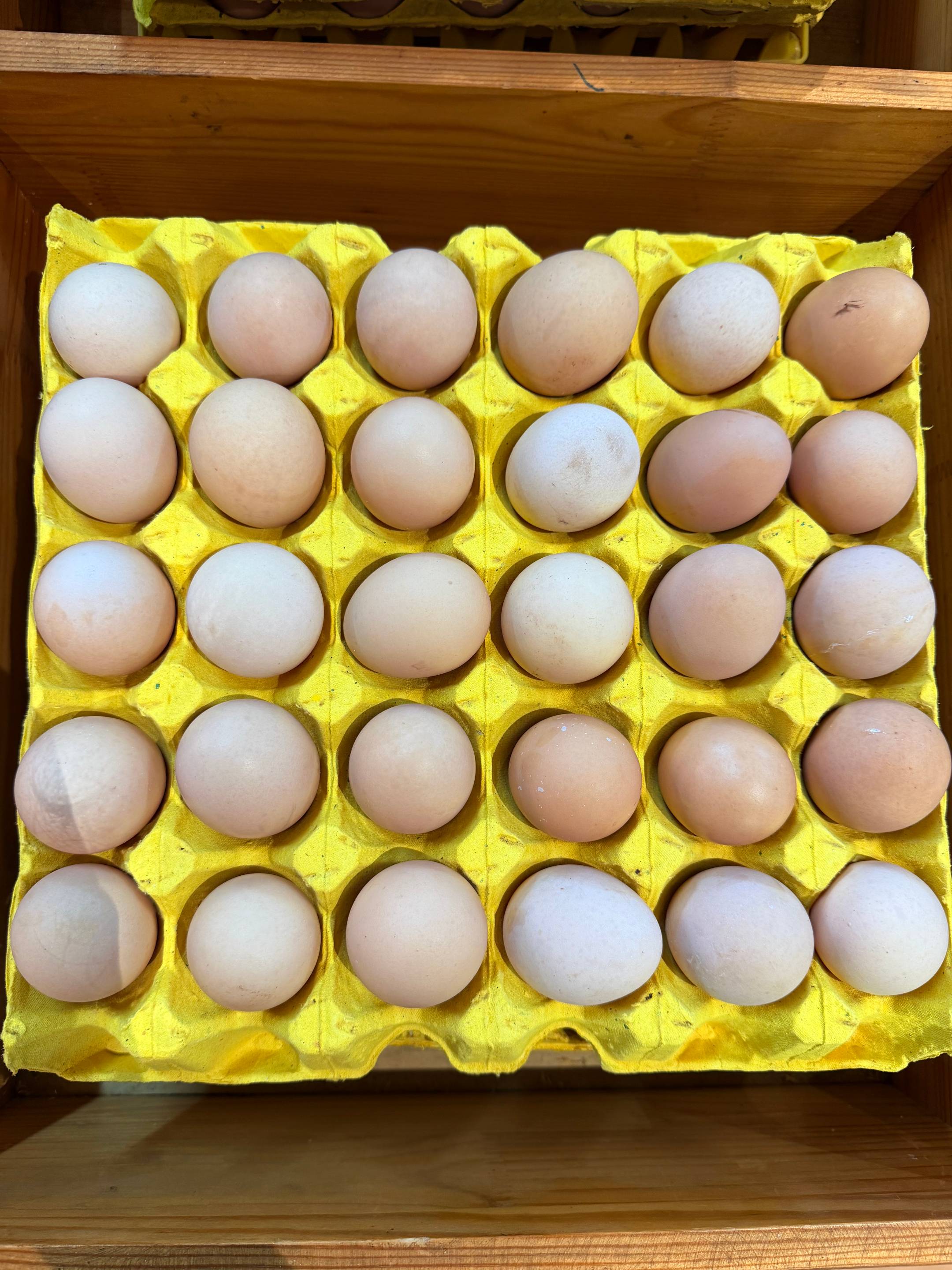 【上门自提】新联|现捡土鸡蛋|30枚