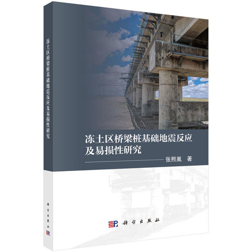 冻土区桥梁桩基础地震反应及易损性研究 商品图0