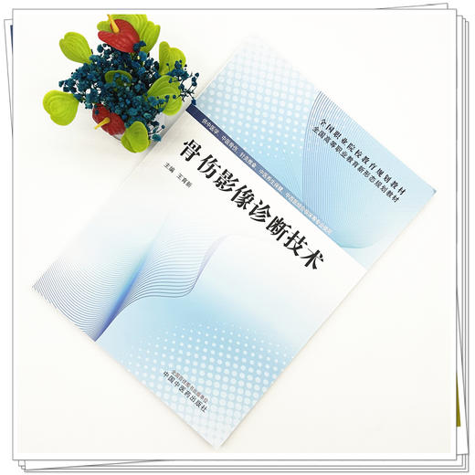骨伤影像诊断技术 王育新 主编 全国高等职业教育新形态规划教材 中国中医药出版社 商品图1