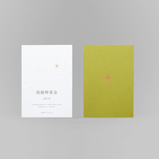 我播种黄金 十三邀嘉宾唐诺重磅新作 商品图2