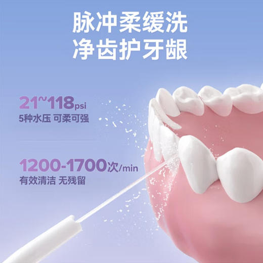 松下（Panasonic）松下冲牙器EW1423 商品图2