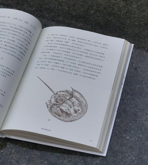 《香港方物志》（珍藏版），精装，16开，叶灵凤著，余婉霖绘，商务印书馆2021年一版二印，295页，定价138，售价48元。 商品图14