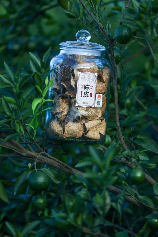 南周星选 精选陈皮250g 商品图1