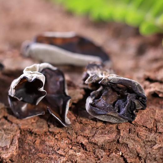 云耳木耳 200g 商品图3