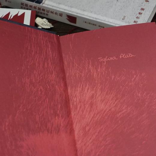 【附赠藏书票】灰烬里我披着红发升起 插图珍藏版 女性主义文学 普利策诗歌奖外国文学 后浪正版 商品图3