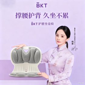 【官方正品】杨幂同款BKT故宫宫廷文化联名款护腰坐姿椅人体工学椅久坐不累座椅靠背垫