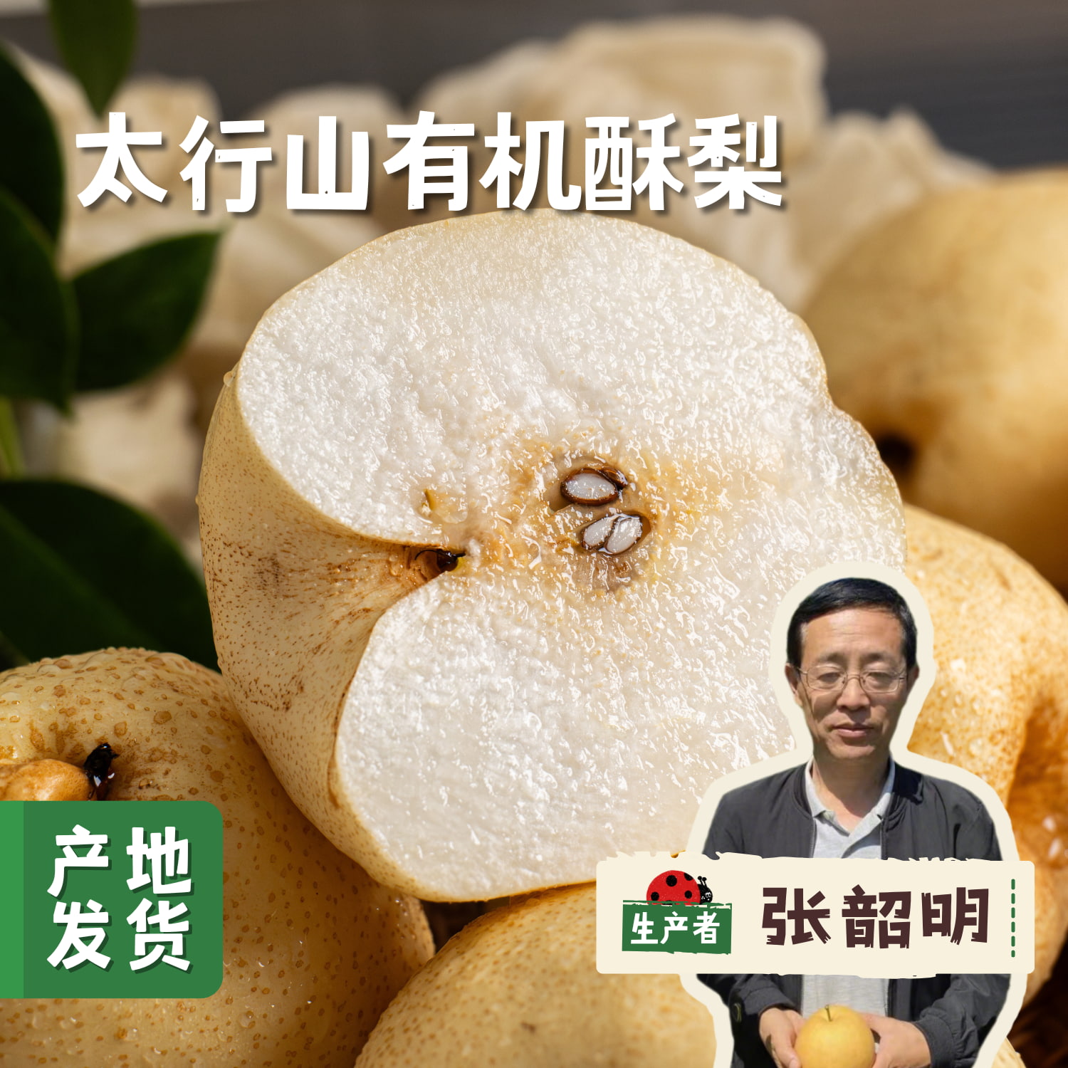 太行山有机酥梨 5斤 | 合作农友生产，产自山西黎城，生产者：张韶明 *【公平贸易农人定价】