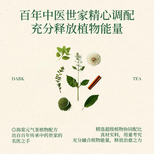 【蔻茶专区满2️⃣9️⃣8️⃣送定制保温杯🍵】海棠元气茶轻养生茶(14包/盒) 商品图5