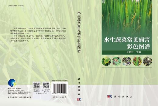水生蔬菜常见病害彩色图谱 商品图3