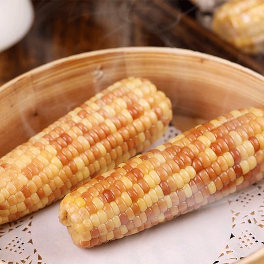 云南西双版纳花糯玉米A级1kg 商品图3
