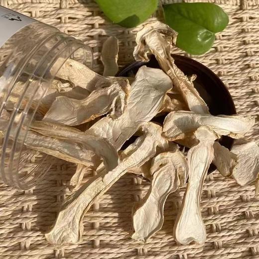野生松茸 50g 商品图2