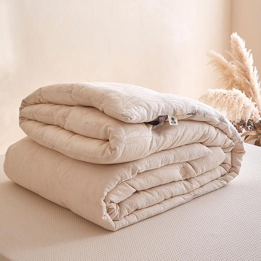 【棉麻黄金蚕蛹被芯】棉麻黄金蚕蛹被芯提花被子秋冬被四季被 商品图5