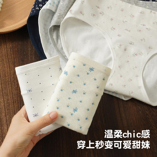 【3条装】抗HPV奶油碎花纯棉中腰三角内裤女100%棉加长裆6085碎花内裤 商品图2