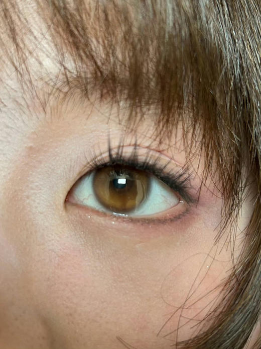 14.5 萤火虫光 日杂浅瞳感水光自然 日抛 半年抛 商品图0