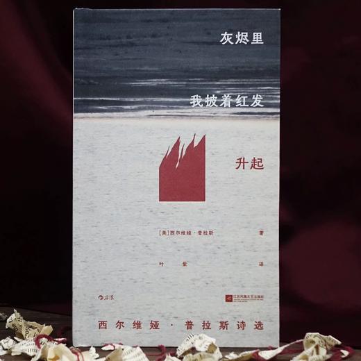 【附赠藏书票】灰烬里我披着红发升起 插图珍藏版 女性主义文学 普利策诗歌奖外国文学 后浪正版 商品图0