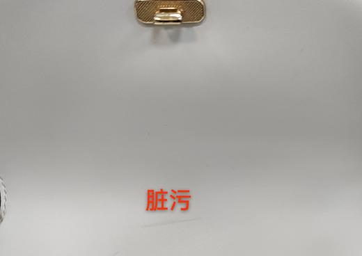 6942199079419 沙驰satchi 女包经典老花PVC/配皮单肩包时尚小众设计【三八女友礼物】19.8cm×8cm×14.5cm 商品图7