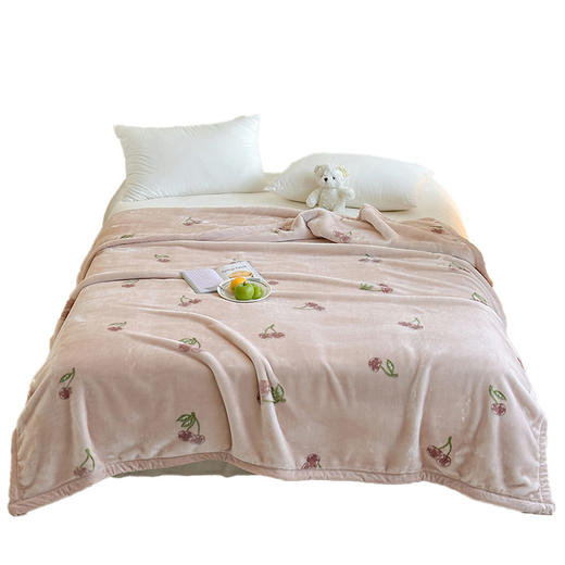 双层加厚冬季毛毯 拉舍尔毯秋冬季盖毯 沙发午睡毯 单人宿舍毯子 商品图4