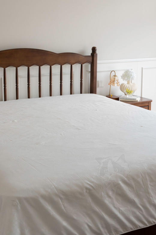 【🇫🇷Cenmir森米尔钻石绒提花蚕丝被】
✅100%填充有机柞蚕丝，全程有机溯源，不染色，0化学成分 商品图1