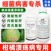 柑橘溃疡病专杀王铜春雷霉素悬浮剂油铜锰专用细菌杀菌剂 商品缩略图0