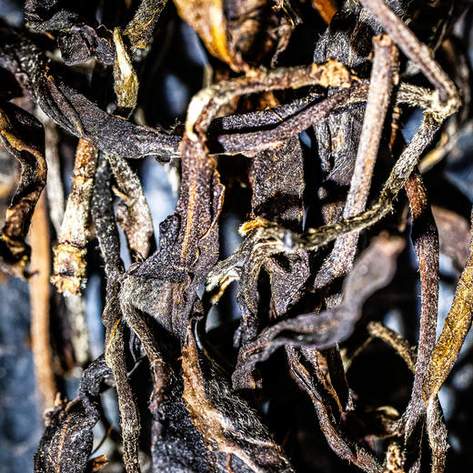 【元昌号】十二茶山风味大单株古树哆依树品鉴装7克/盒 商品图2