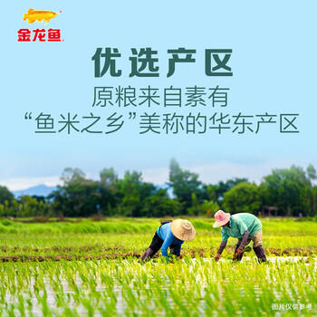 金龙鱼 苏北大米 软香稻大米 臻选软香稻 10斤 /粮油调味 /米 /其他大米 商品图3