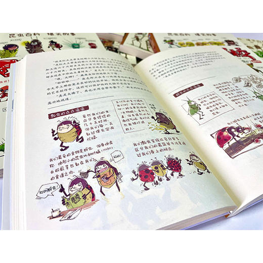 《酷虫学校》插图版 全12册 6-12岁 培养孩子科学视野、激发孩子阅读能力和思维能力的昆虫科普丛书 商品图3