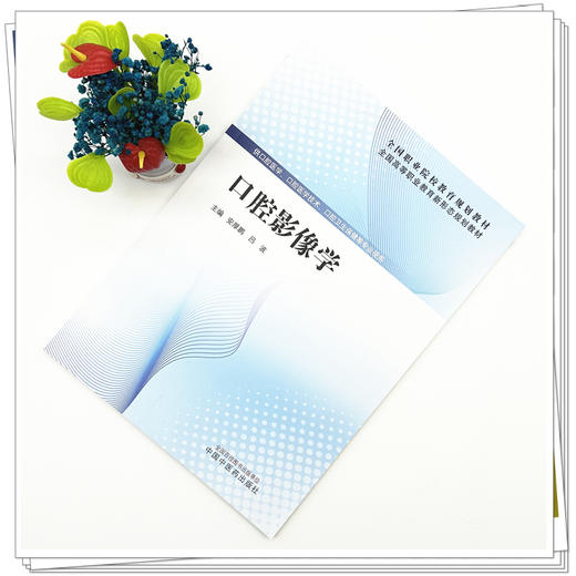 口腔影像学 全国高等职业教育新形态规划教材 安厚鹏 吕波 供口腔医学 口腔医学技术 口腔卫生保健等专业使用 中国中医药出版社 商品图2