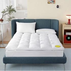 【品牌福利特惠】smiley鹅毛软垫❗快乐睡眠研究所❗100%鹅毛+超柔双支撑❗三防科技不闷热❗