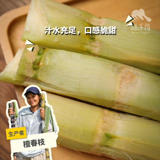 生态甘蔗 | 绿家自产*Eco-Sugarcane | Self-production 商品图0
