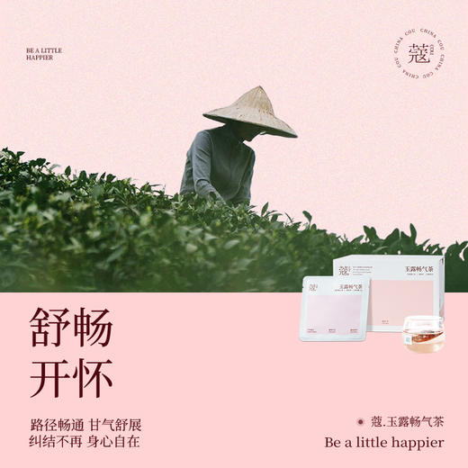 【蔻茶专区满2️⃣9️⃣8️⃣送定制保温杯🍵】玉露畅气茶轻养生茶(14包/盒) 商品图1