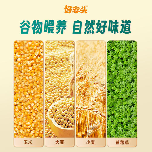【好念头品牌】始祖黑鸡谷物鲜蛋30枚 商品图1