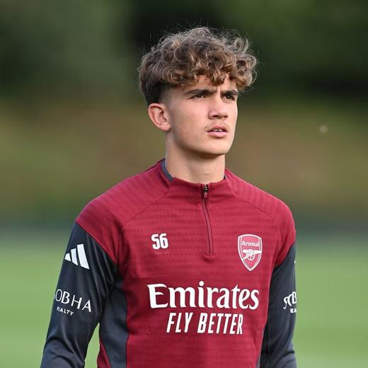 小李子ADIDAS阿迪达斯阿森纳球员版半拉链长袖训练服成人男JI9566 商品图2