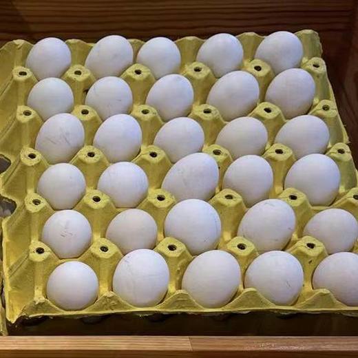 【上门自提】新联|贵妃蛋|30枚 商品图0