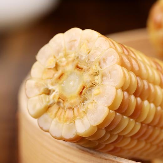 云南西双版纳糯玉米A级 1.5kg 商品图1