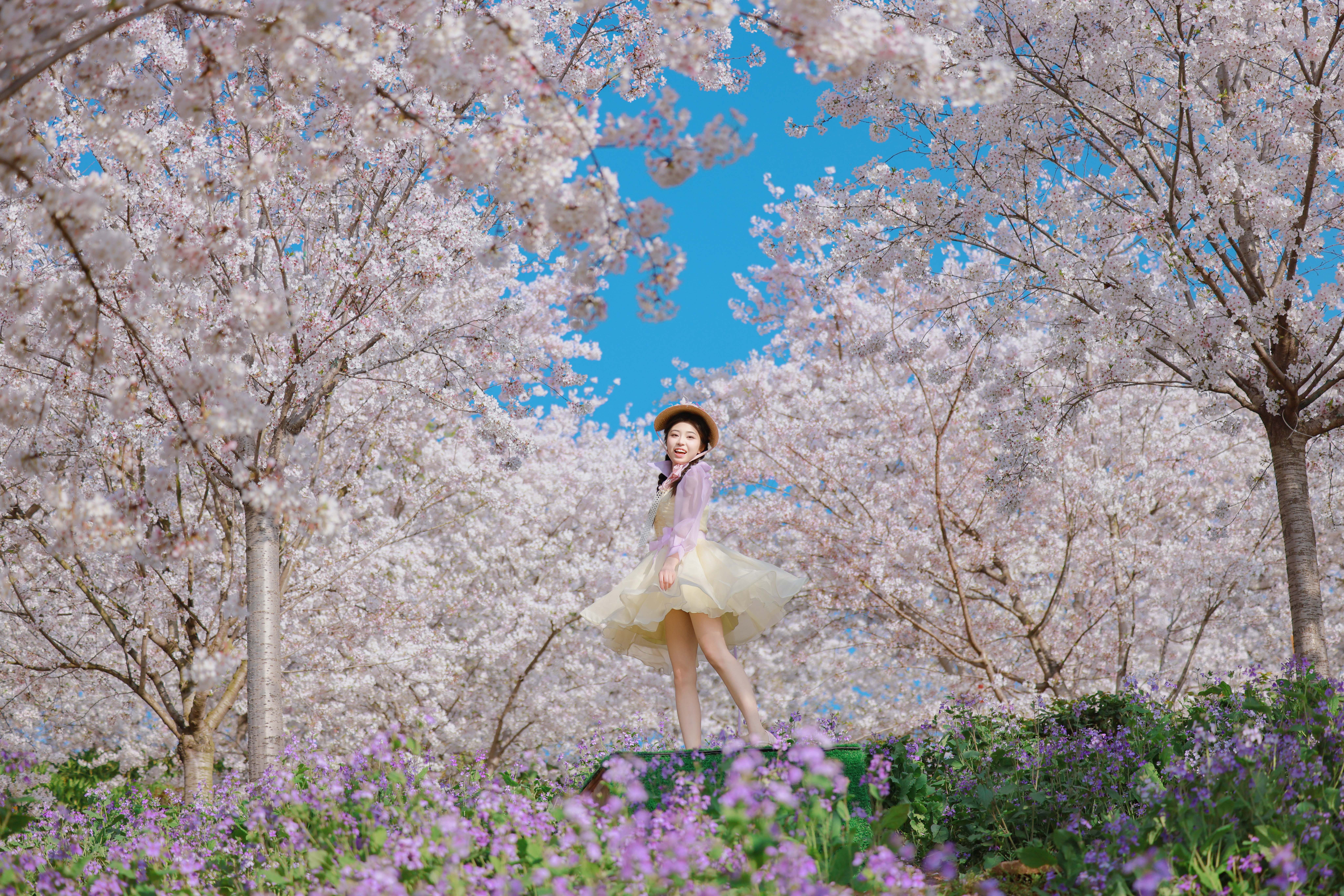 【漫花庄园 2026年单人年卡】