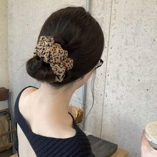 【YW】无忧购39元5件豹纹系列头饰发圈抓夹高颅顶发箍（截单后3-5天发货) 商品图9