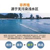⁶【无添加手捕麻虾干】蒸蛋 包饺子 下面条 炒菜 煲汤增鲜 凉拌提味等 食用方便 50克/罐 SS06-CR-ZPH 商品缩略图3
