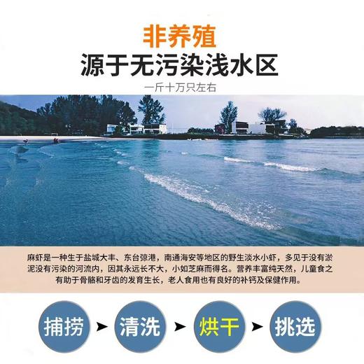 ⁶【无添加手捕麻虾干】蒸蛋 包饺子 下面条 炒菜 煲汤增鲜 凉拌提味等 食用方便 50克/罐 SS06-CR-ZPH 商品图3