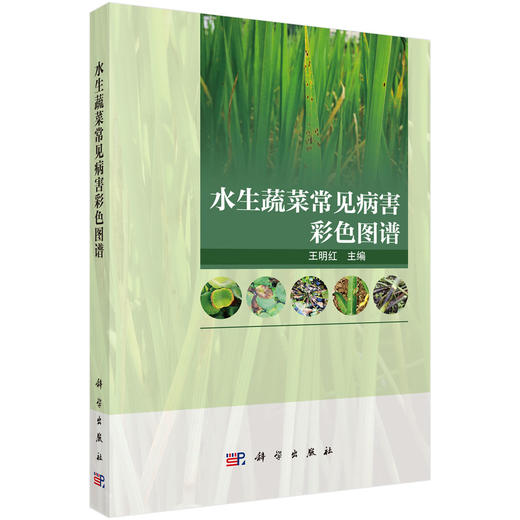 水生蔬菜常见病害彩色图谱 商品图0