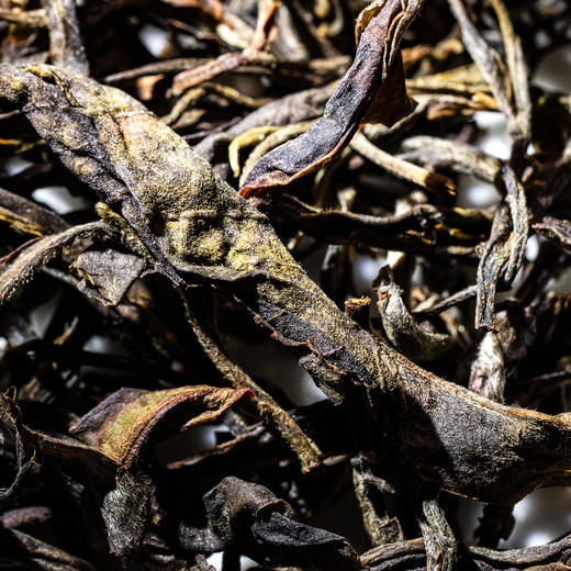 【元昌号】十二茶山风味大单株古树天门山品鉴装7克/盒 商品图2