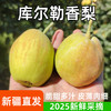【疯狂星期五】产地直发 库尔勒香梨 家庭装/礼盒装 商品缩略图0