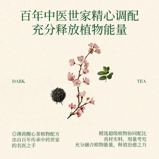 【蔻茶专区满2️⃣9️⃣8️⃣送定制保温杯🍵】薄荷醒心茶轻养生茶(14包/盒) 商品图5