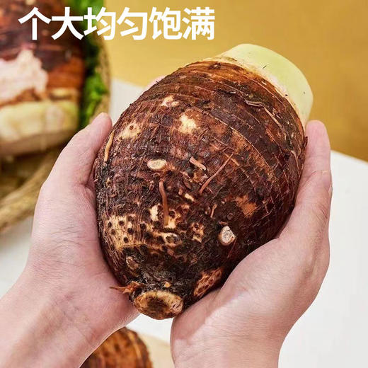 【厂商直发】广西有机荔浦大芋头香芋3斤/5斤粉嫩甜糯包邮 商品图4